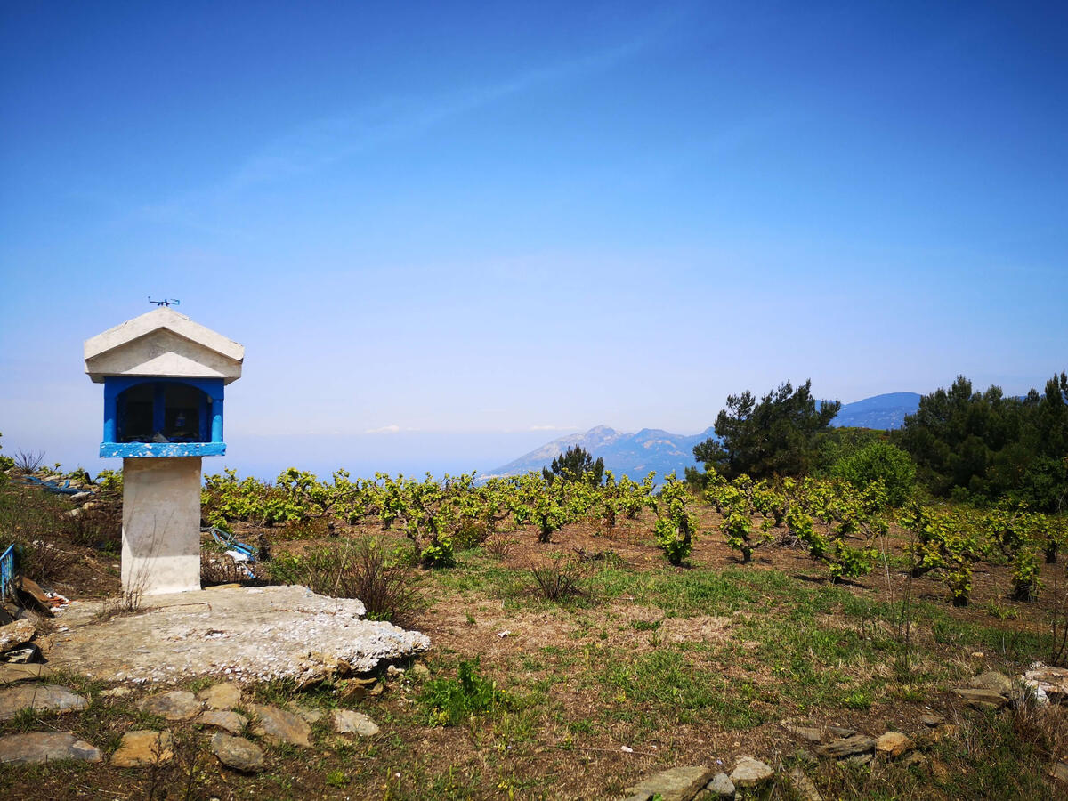 Wine, Sky, God - Wein, Himmel, Gott